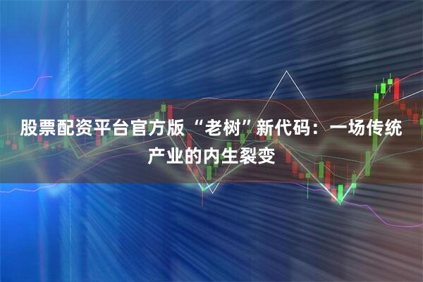 股票配资平台官方版 “老树”新代码：一场传统产业的内生裂变